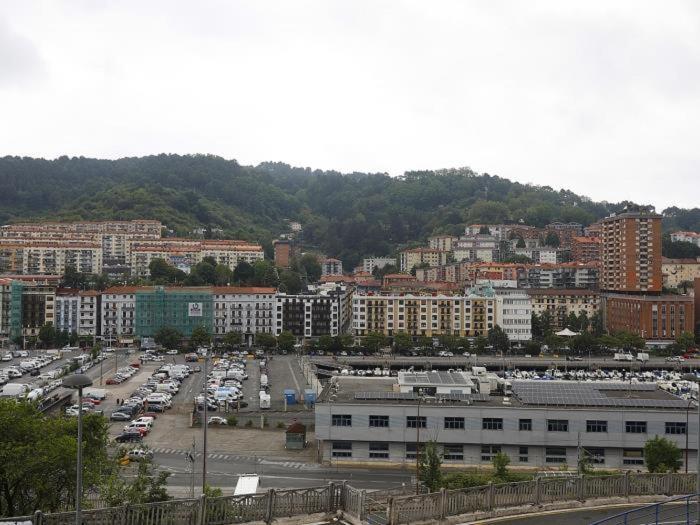 Oleta 9 Acogedor En San Sebastián